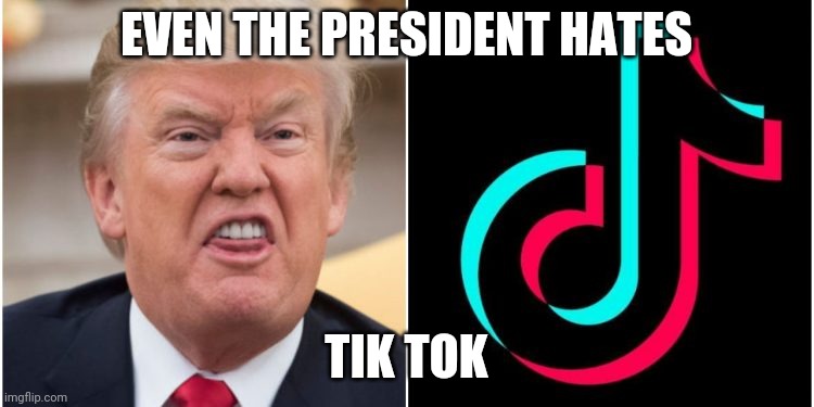Tik tok bad | EVEN THE PRESIDENT HATES; TIK TOK | image tagged in tik tok is bad | made w/ Imgflip meme maker