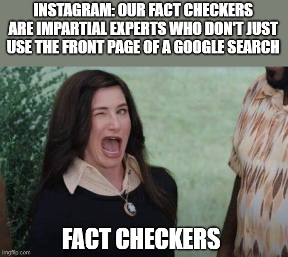 Agatha wink | INSTAGRAM: OUR FACT CHECKERS ARE IMPARTIAL EXPERTS WHO DON'T JUST USE THE FRONT PAGE OF A GOOGLE SEARCH; FACT CHECKERS | image tagged in agatha wink | made w/ Imgflip meme maker