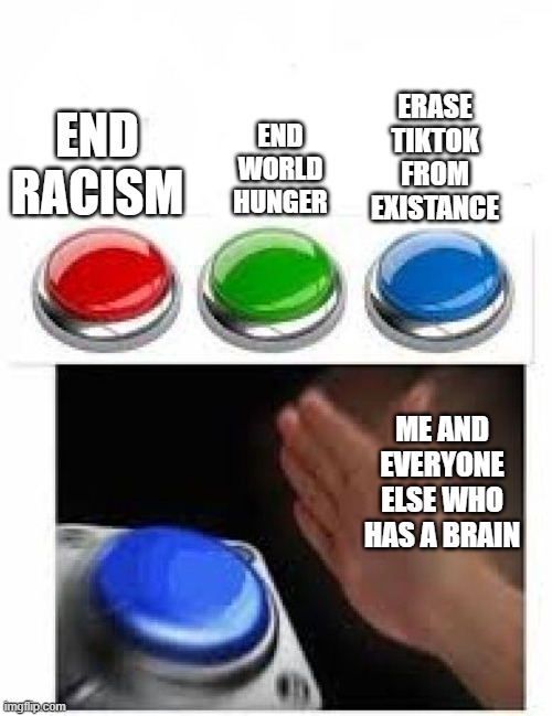 Red Green Blue Buttons | ERASE TIKTOK FROM EXISTANCE; END WORLD HUNGER; END RACISM; ME AND EVERYONE ELSE WHO HAS A BRAIN | image tagged in red green blue buttons | made w/ Imgflip meme maker