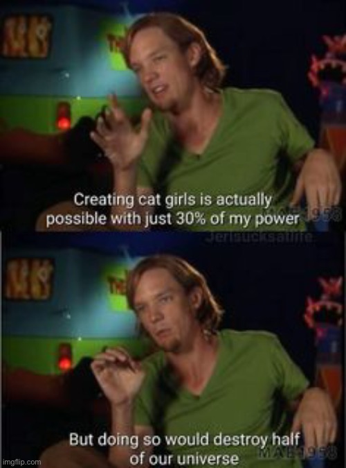 Shaggy on cat girls | image tagged in shaggy on cat girls | made w/ Imgflip meme maker