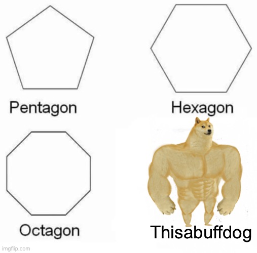 Dogggggggggggggggo | Thisabuffdog | image tagged in memes,pentagon hexagon octagon | made w/ Imgflip meme maker
