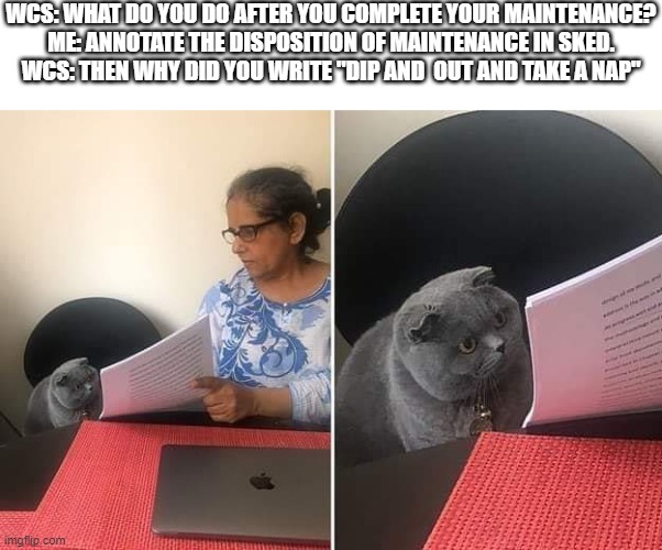 SKED sucks | WCS: WHAT DO YOU DO AFTER YOU COMPLETE YOUR MAINTENANCE?
ME: ANNOTATE THE DISPOSITION OF MAINTENANCE IN SKED.
WCS: THEN WHY DID YOU WRITE "DIP AND  OUT AND TAKE A NAP" | image tagged in woman showing paper to cat,military,us military,military humor,navy,us navy | made w/ Imgflip meme maker