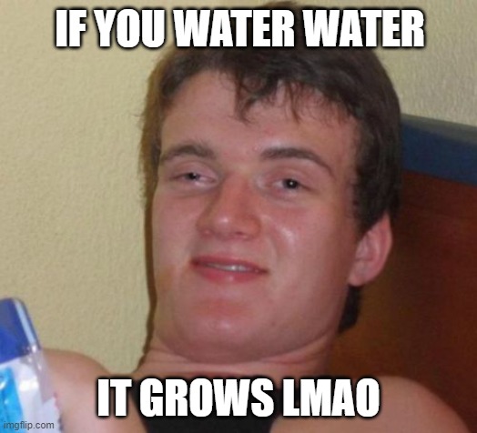 10 Guy Meme | IF YOU WATER WATER; IT GROWS LMAO | image tagged in memes,10 guy | made w/ Imgflip meme maker