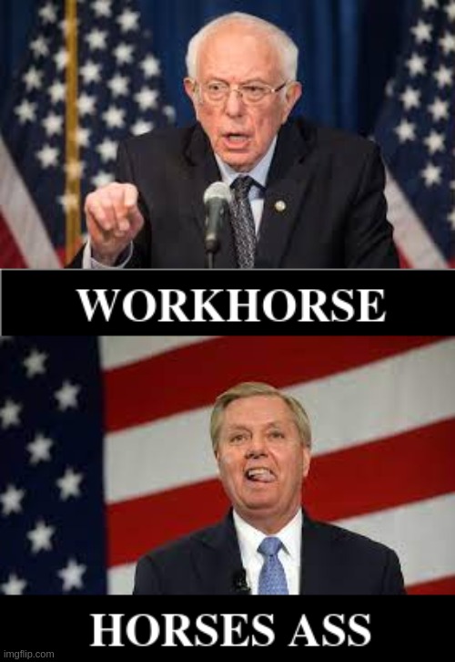 Horse sense... | image tagged in we the people | made w/ Imgflip meme maker