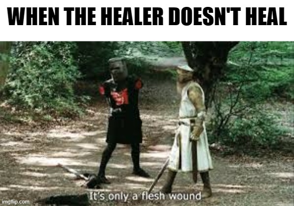 If you're one of those healers... F&#* YOU! | WHEN THE HEALER DOESN'T HEAL | image tagged in it's just a flesh wound,healer,gaming,medic | made w/ Imgflip meme maker