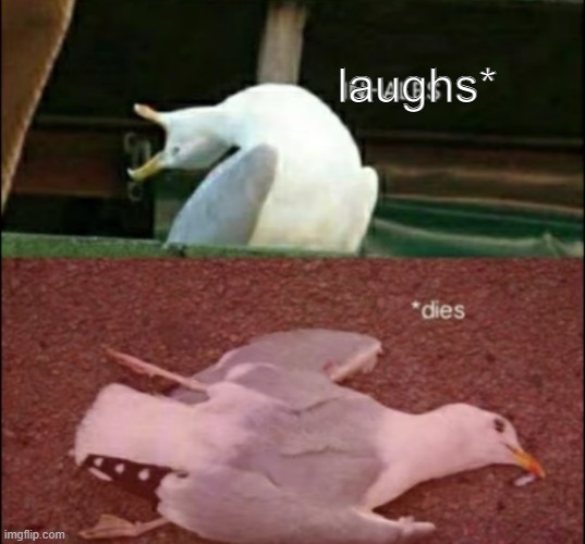 Seagull dies | laughs* | image tagged in seagull dies | made w/ Imgflip meme maker