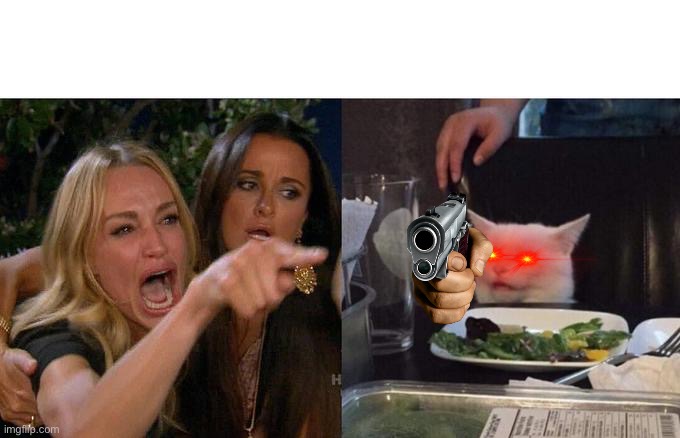 Cat Gun | image tagged in memes,woman yelling at cat | made w/ Imgflip meme maker