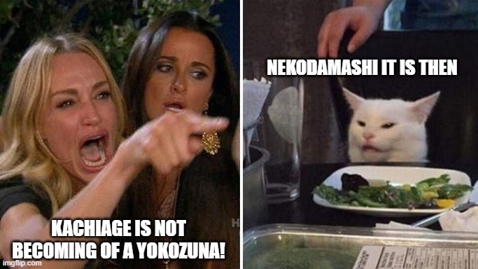 Angry lady cat | NEKODAMASHI IT IS THEN; KACHIAGE IS NOT BECOMING OF A YOKOZUNA! | image tagged in angry lady cat | made w/ Imgflip meme maker