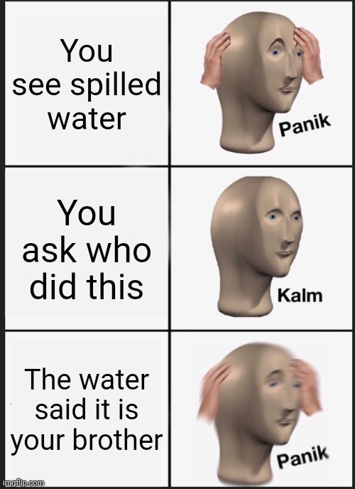 Huh. | You see spilled water; You ask who did this; The water said it is your brother | image tagged in memes,panik kalm panik | made w/ Imgflip meme maker