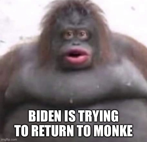Le Monke | BIDEN IS TRYING TO RETURN TO MONKE | image tagged in le monke | made w/ Imgflip meme maker