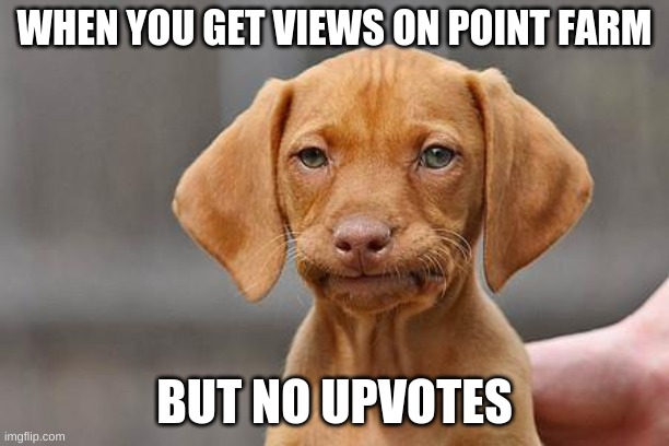 i think this is pretty cringe but ya know... | WHEN YOU GET VIEWS ON POINT FARM; BUT NO UPVOTES | image tagged in dissapointed puppy | made w/ Imgflip meme maker