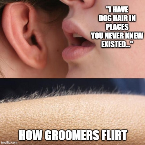 Whisper and Goosebumps | "I HAVE DOG HAIR IN PLACES YOU NEVER KNEW EXISTED..."; HOW GROOMERS FLIRT | image tagged in whisper and goosebumps | made w/ Imgflip meme maker