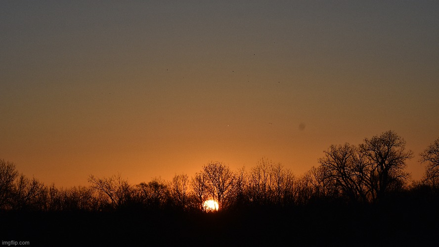 good morning! | made w/ Imgflip meme maker