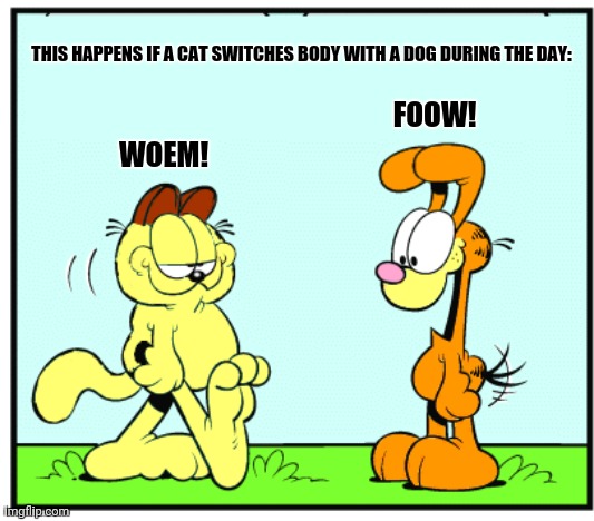 Odfield and Garie | THIS HAPPENS IF A CAT SWITCHES BODY WITH A DOG DURING THE DAY:; FOOW! WOEM! | image tagged in memes,cats and dogs,surrealism | made w/ Imgflip meme maker