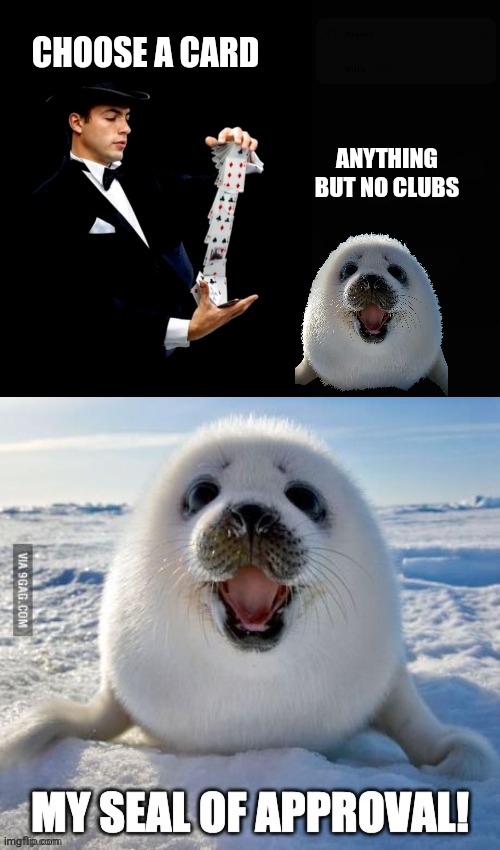 No Clubs for Seals | CHOOSE A CARD; ANYTHING BUT NO CLUBS | image tagged in clubbing,happy seal,homophobic seal,funny memes,magician | made w/ Imgflip meme maker
