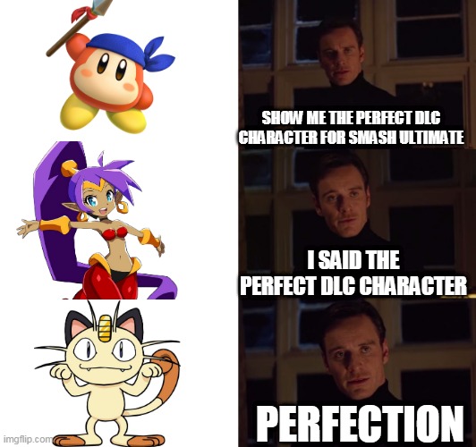 perfection | SHOW ME THE PERFECT DLC CHARACTER FOR SMASH ULTIMATE; I SAID THE PERFECT DLC CHARACTER; PERFECTION | image tagged in perfection,super smash bros,shantae,kirby,pokemon,nintendo switch | made w/ Imgflip meme maker
