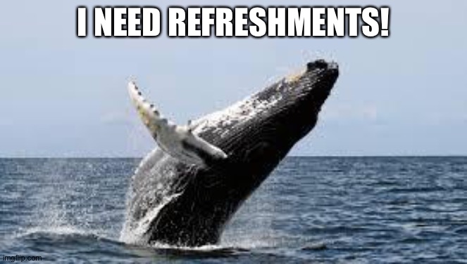 Whale. | I NEED REFRESHMENTS! | image tagged in whale | made w/ Imgflip meme maker