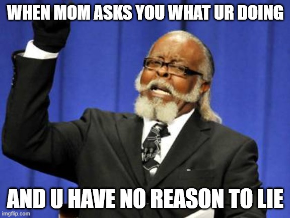 Yess | WHEN MOM ASKS YOU WHAT UR DOING; AND U HAVE NO REASON TO LIE | image tagged in memes,too damn high | made w/ Imgflip meme maker