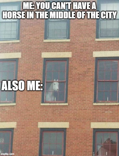 Horse in the city | ME: YOU CAN'T HAVE A HORSE IN THE MIDDLE OF THE CITY; ALSO ME: | image tagged in horse | made w/ Imgflip meme maker