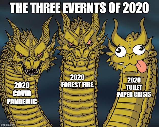 Three-headed Dragon | THE THREE EVERNTS OF 2020; 2020 FOREST FIRE; 2020 TOILET PAPER CRISIS; 2020 COVID PANDEMIC | image tagged in three-headed dragon | made w/ Imgflip meme maker