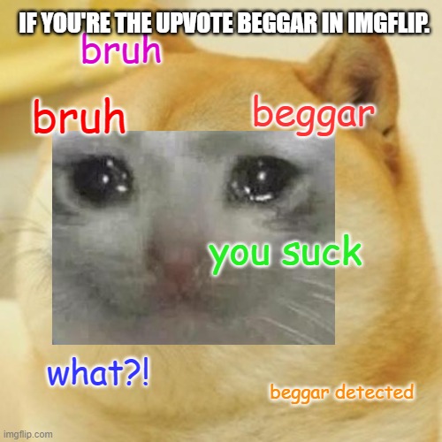 IF YOU'RE THE UPVOTE BEGGAR IN IMGFLIP | IF YOU'RE THE UPVOTE BEGGAR IN IMGFLIP. bruh; bruh; beggar; you suck; what?! beggar detected | image tagged in memes,doge | made w/ Imgflip meme maker