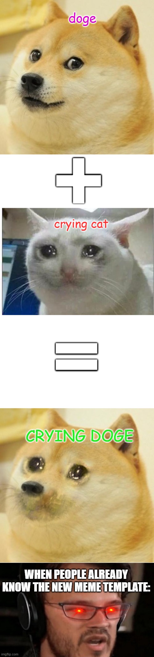 new meme template ( crying doge ) | doge; +; crying cat; =; CRYING DOGE; WHEN PEOPLE ALREADY KNOW THE NEW MEME TEMPLATE: | image tagged in memes,doge,blank white template,crying cat,bruh | made w/ Imgflip meme maker