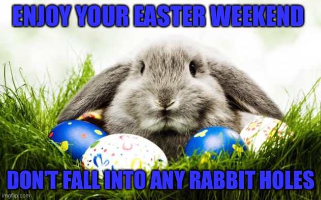 Easter bunny | ENJOY YOUR EASTER WEEKEND; DON’T FALL INTO ANY RABBIT HOLES | image tagged in easter bunny | made w/ Imgflip meme maker