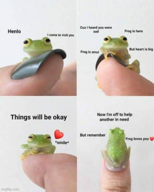 image tagged in frogs,wholesome,cute,cute animals,kawaii,cute frog | made w/ Imgflip meme maker