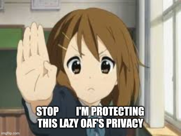 STOP         I'M PROTECTING THIS LAZY OAF'S PRIVACY | image tagged in weebs,anime,loli | made w/ Imgflip meme maker