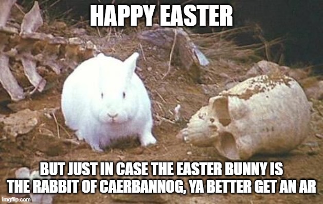 Happy Easter | HAPPY EASTER; BUT JUST IN CASE THE EASTER BUNNY IS THE RABBIT OF CAERBANNOG, YA BETTER GET AN AR | image tagged in rabbit of caerbannog | made w/ Imgflip meme maker