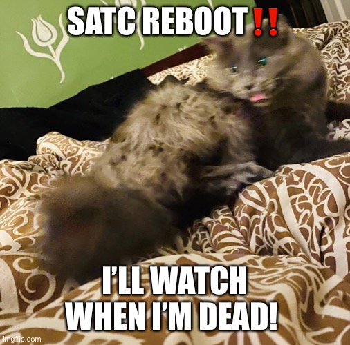 Annie Carruthers | SATC REBOOT‼️; I’LL WATCH WHEN I’M DEAD! | image tagged in annie carruthers | made w/ Imgflip meme maker