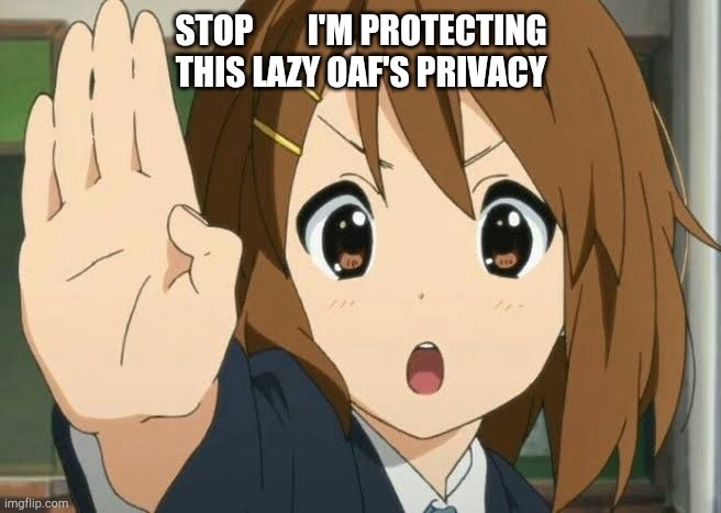 STOP        I'M PROTECTING THIS LAZY OAF'S PRIVACY | image tagged in anime | made w/ Imgflip meme maker