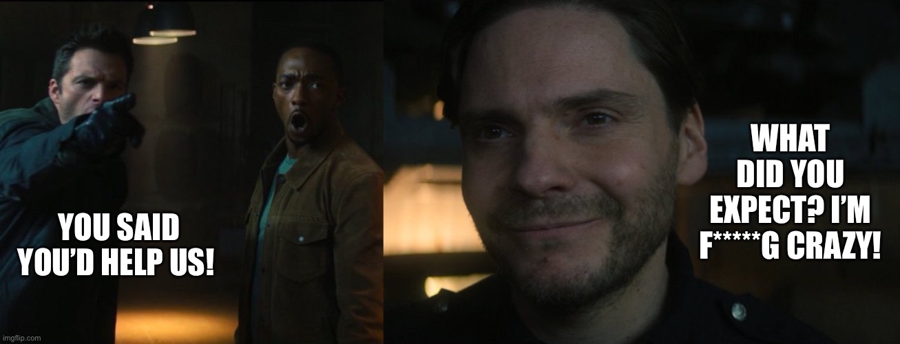 Zemo is the new salad cat | WHAT DID YOU EXPECT? I’M F*****G CRAZY! YOU SAID YOU’D HELP US! | image tagged in falcon and the winter soldier,zemo | made w/ Imgflip meme maker