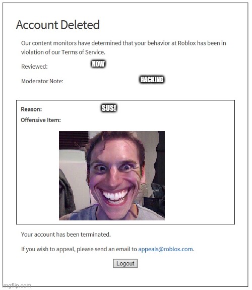 banned from ROBLOX | NOW; HACKING; SUS! | image tagged in banned from roblox | made w/ Imgflip meme maker