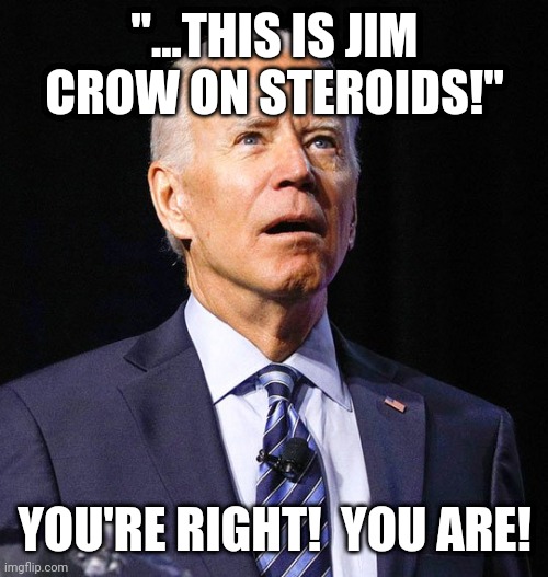 Joe Biden talking to himself again! | "...THIS IS JIM CROW ON STEROIDS!"; YOU'RE RIGHT!  YOU ARE! | image tagged in joe biden,democrats,ku klux klan,steroids | made w/ Imgflip meme maker