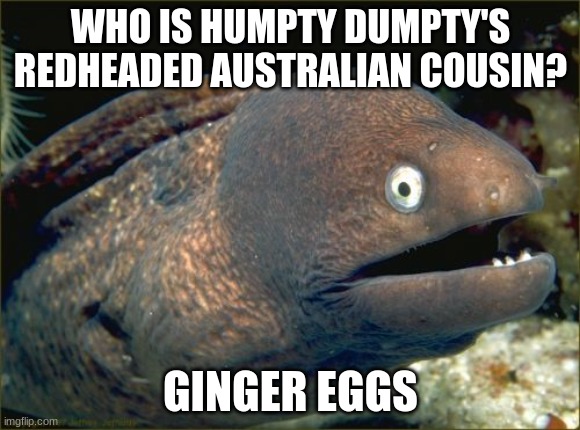 Am I trying too hard with this? | WHO IS HUMPTY DUMPTY'S REDHEADED AUSTRALIAN COUSIN? GINGER EGGS | image tagged in memes,bad joke eel,humpty dumpty,nursery rhymes,cousin,australia | made w/ Imgflip meme maker