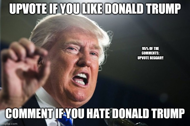 donald trump | UPVOTE IF YOU LIKE DONALD TRUMP; 95% OF THE COMMENTS: UPVOTE BEGGAR!! COMMENT IF YOU HATE DONALD TRUMP | image tagged in donald trump | made w/ Imgflip meme maker