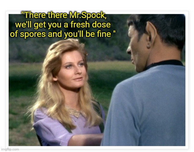 "There there Mr.Spock, we'll get you a fresh dose of spores and you'll be fine " | made w/ Imgflip meme maker