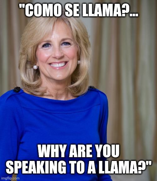 llamas can't speak | "COMO SE LLAMA?... WHY ARE YOU SPEAKING TO A LLAMA?" | image tagged in dr jill biden joes wife,llamas,can't even,talk | made w/ Imgflip meme maker