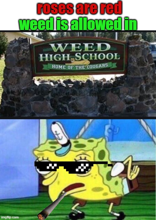 Mocking Spongebob | roses are red; weed is allowed in | image tagged in memes,mocking spongebob | made w/ Imgflip meme maker