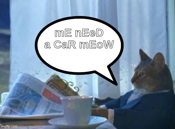 I should buy a car cat | mE nEeD a CaR mEoW | image tagged in i,should,buy,a,car,cat | made w/ Imgflip meme maker