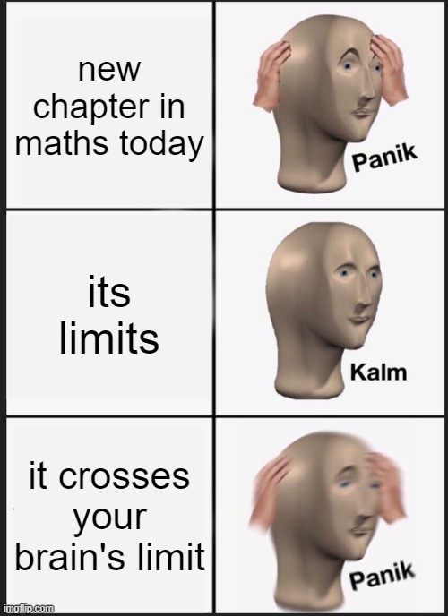 Limits | new chapter in maths today; its limits; it crosses your brain's limit | image tagged in memes,panik kalm panik | made w/ Imgflip meme maker
