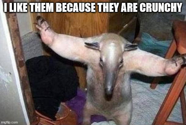 Anteater - I Got This | I LIKE THEM BECAUSE THEY ARE CRUNCHY | image tagged in anteater - i got this | made w/ Imgflip meme maker