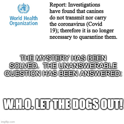 Blank Transparent Square | Report: Investigations have found that canines do not transmit nor carry the coronavirus (Covid 19); therefore it is no longer necessary to quarantine them. THE MYSTERY HAS BEEN SOLVED.  THE UNANSWERABLE QUESTION HAS BEEN ANSWERED:; W.H.O. LET THE DOGS OUT! | image tagged in memes,blank transparent square,funny | made w/ Imgflip meme maker