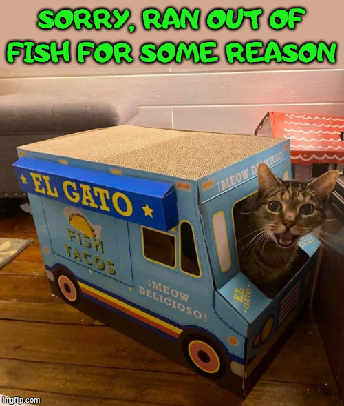 If cats ran food trucks | SORRY, RAN OUT OF FISH FOR SOME REASON | image tagged in cats | made w/ Imgflip meme maker