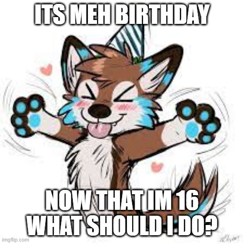 Pwease XD | ITS MEH BIRTHDAY; NOW THAT IM 16 WHAT SHOULD I DO? | made w/ Imgflip meme maker