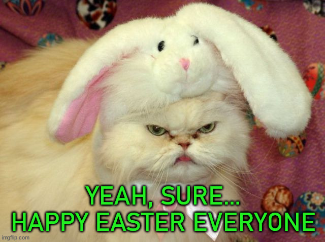 YEAH, SURE... HAPPY EASTER EVERYONE | image tagged in cats | made w/ Imgflip meme maker