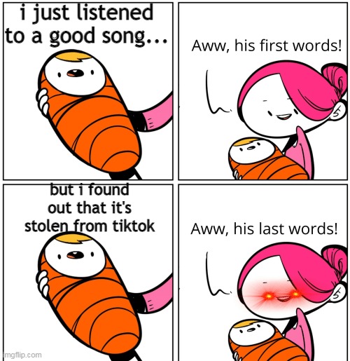 NO MORE SONGS FROM TIKTOK | i just listened to a good song... but i found out that it's stolen from tiktok | image tagged in aww his last words,tiktok sucks | made w/ Imgflip meme maker