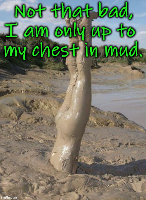 Upside down on this issue. |  Not that bad, I am only up to 
my chest in mud. | image tagged in mud,deep,upside down | made w/ Imgflip meme maker