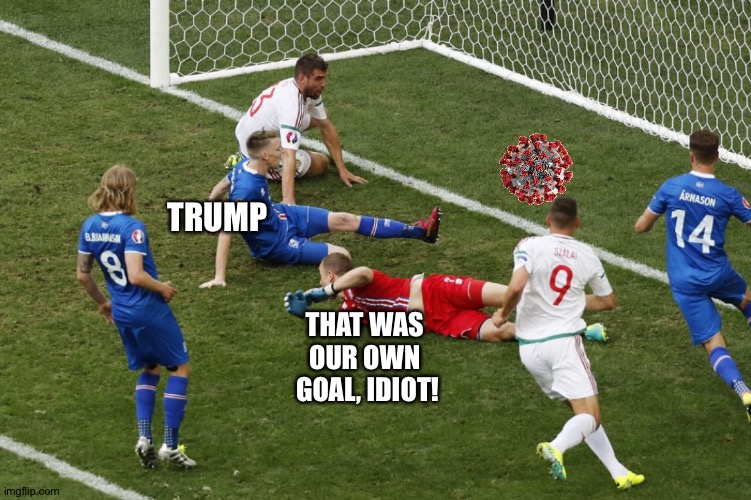 Trump and coronavirus | TRUMP; THAT WAS 
OUR OWN 
GOAL, IDIOT! | image tagged in soccer own goal | made w/ Imgflip meme maker